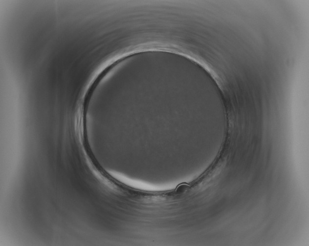 X0000112351515200909101033