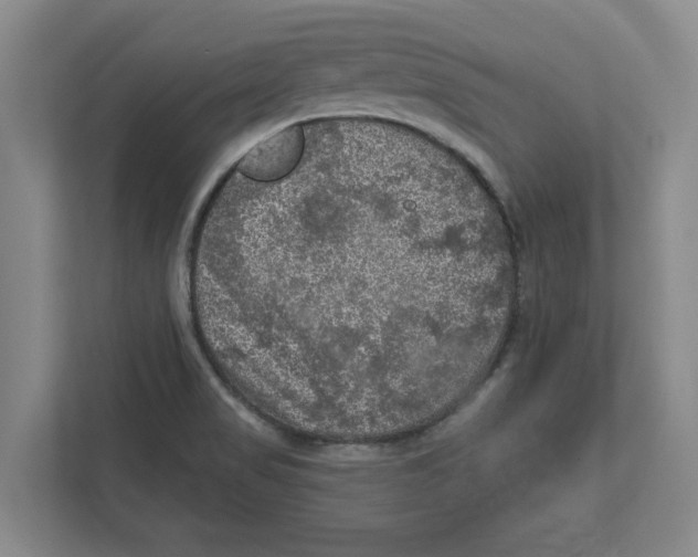 X0000112351517200909101033