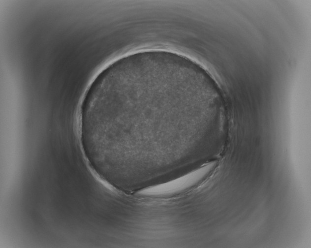 X0000112351519200909101033