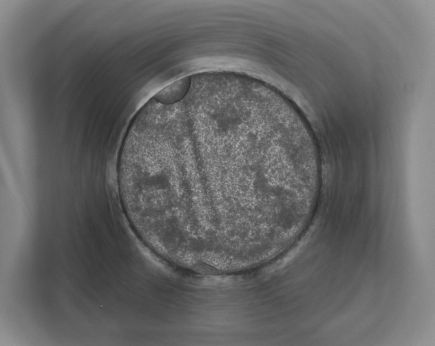 X0000112351521200909101033