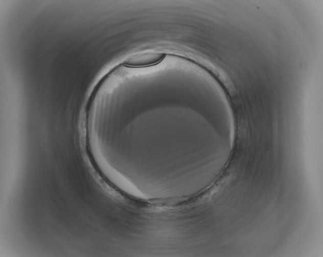 X0000112351522200909101033