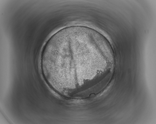 X0000112351525200909101033