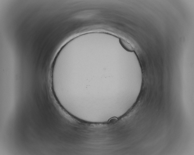 X0000112351526200909101033