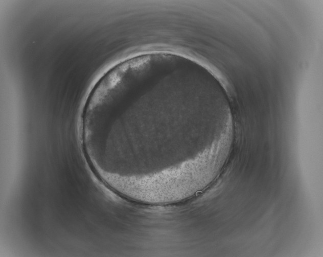 X0000112351527200909101033