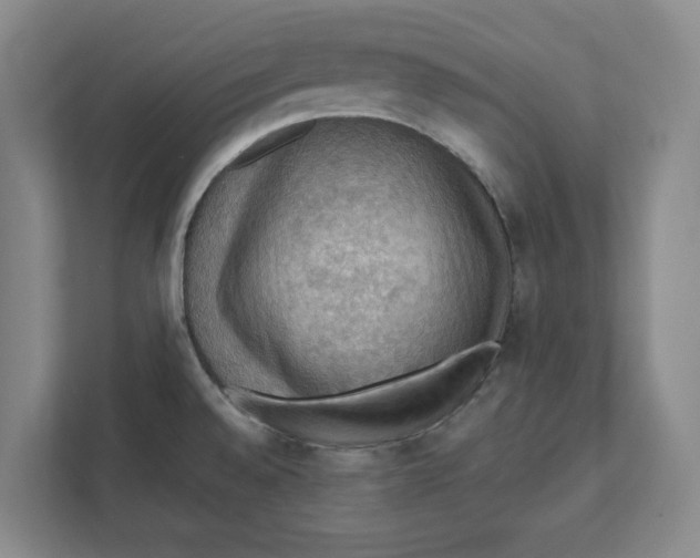 X0000112351528200909101033