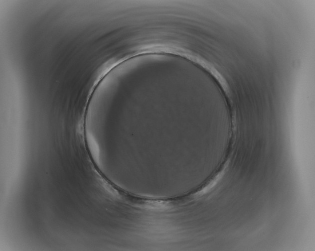 X0000112351529200909101033