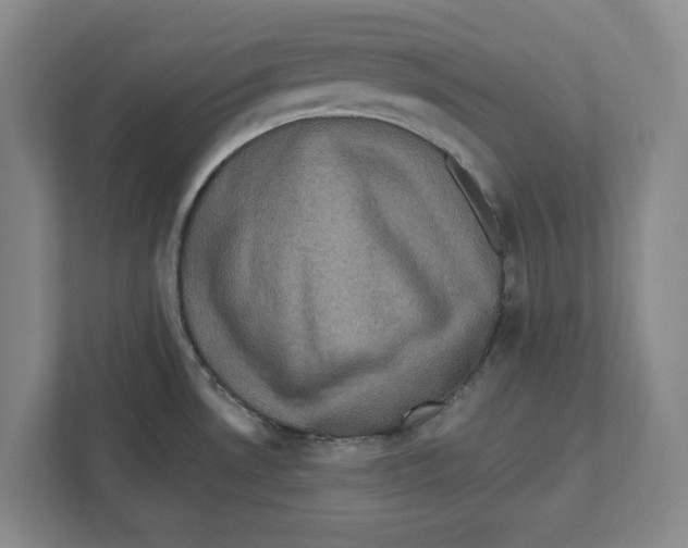 X0000112351530200909101033