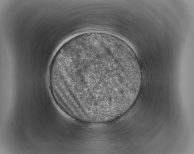 X0000112351531200909101033