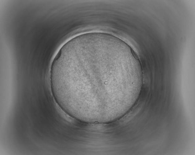 X0000112351532200909101033