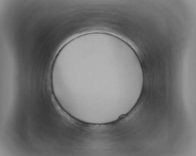 X0000112351534200909101033