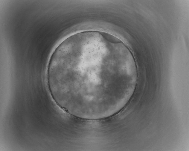 X0000112351536200909101033