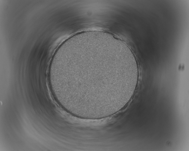 X0000112350001200909241113