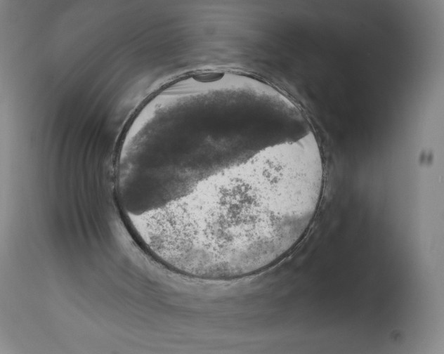 X0000112350002200909241113