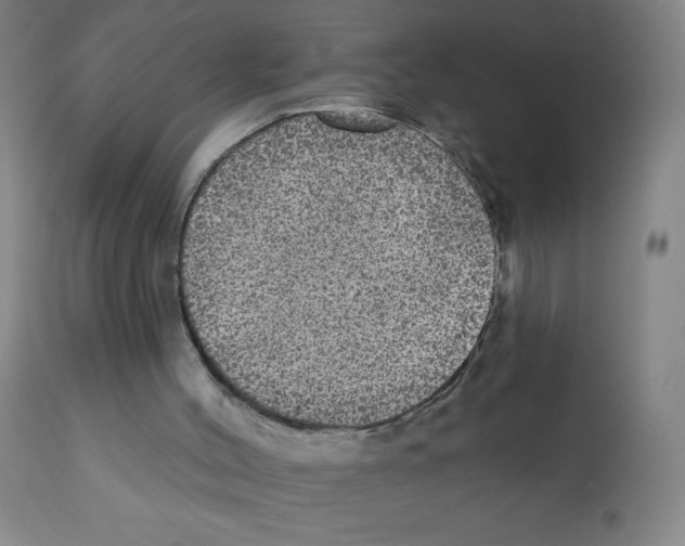 X0000112350004200909241113