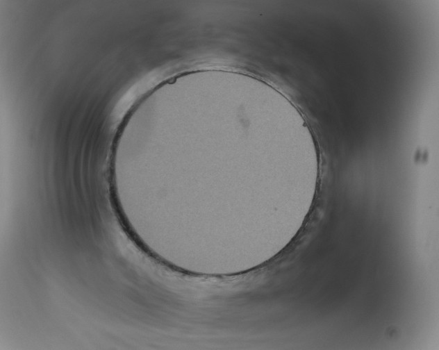 X0000112350007200909241113