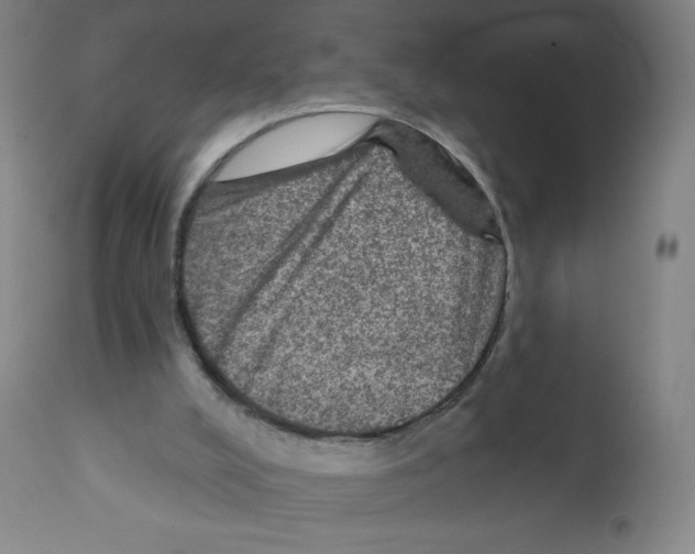 X0000112350008200909241113