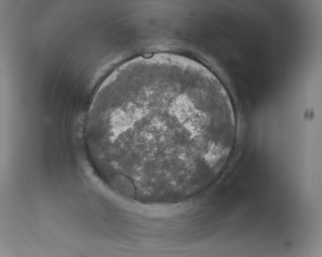 X0000112350010200909241113