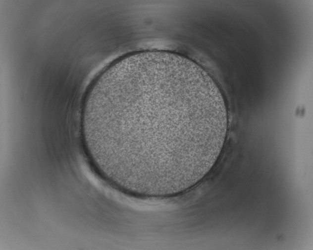 X0000112350012200909241113