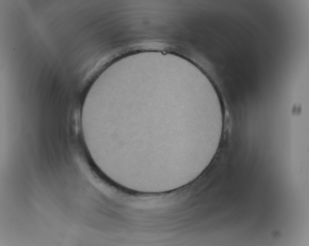 X0000112350013200909241113