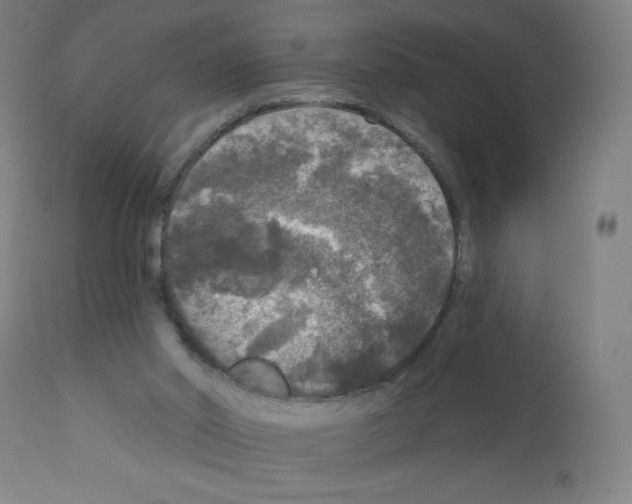 X0000112350014200909241113