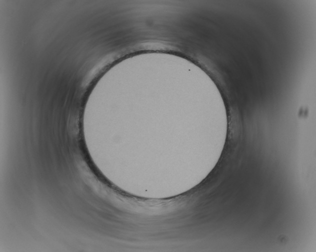 X0000112350015200909241113