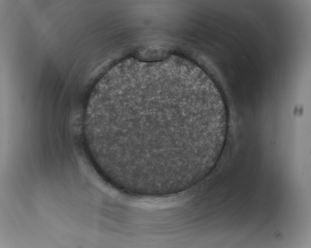 X0000112350017200909241112