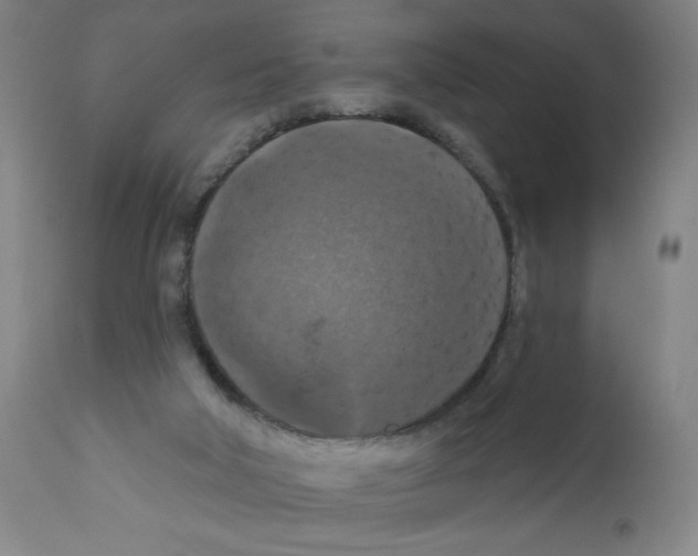 X0000112350018200909241112