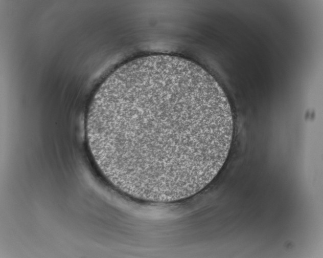 X0000112350020200909241112