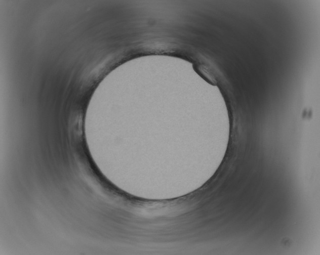 X0000112350021200909241112