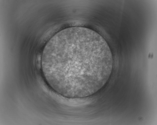 X0000112350022200909241112