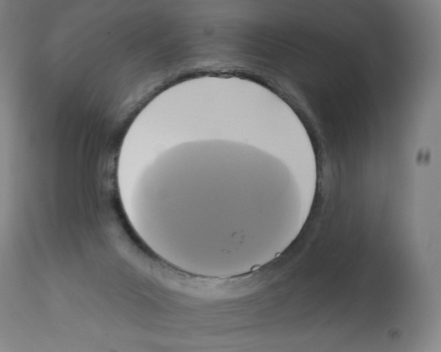 X0000112350023200909241112