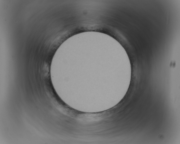 X0000112350025200909241112