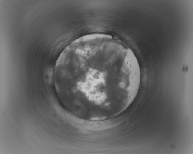 X0000112350026200909241112