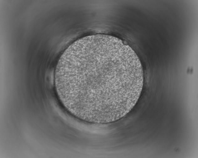 X0000112350028200909241112