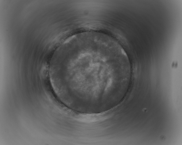 X0000112350029200909241112