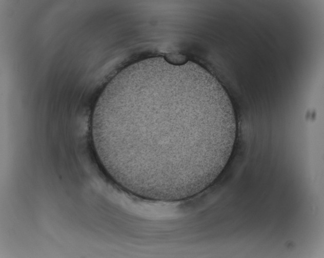 X0000112350032200909241112