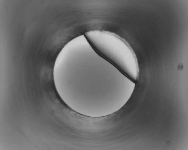 X0000112350035200909241112