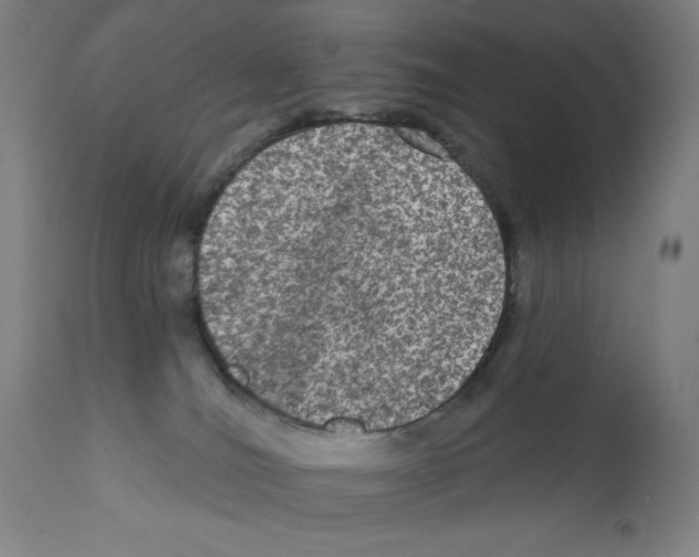 X0000112350036200909241112