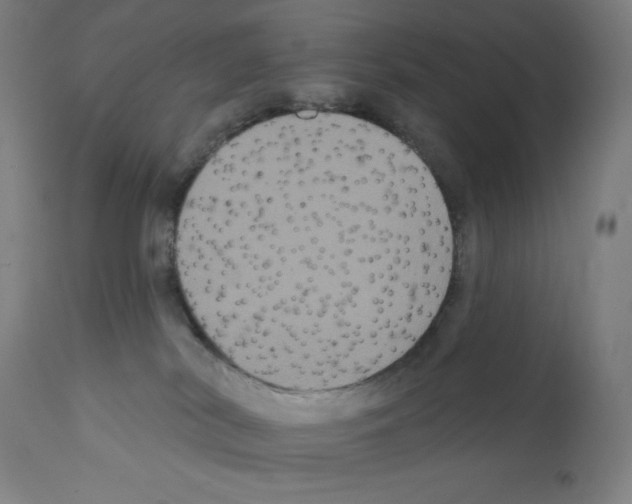 X0000112350038200909241112