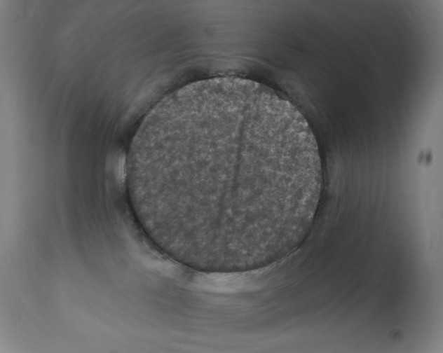 X0000112350041200909241112