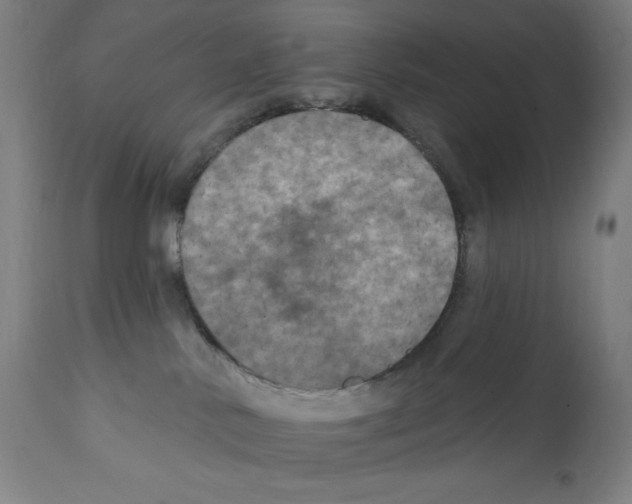 X0000112350042200909241112