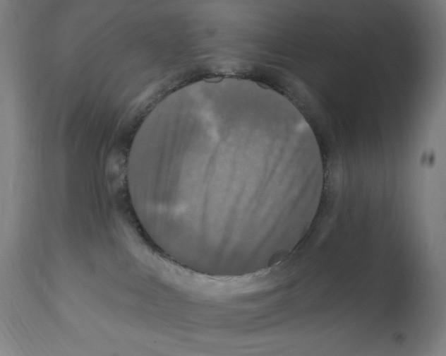 X0000112350043200909241112