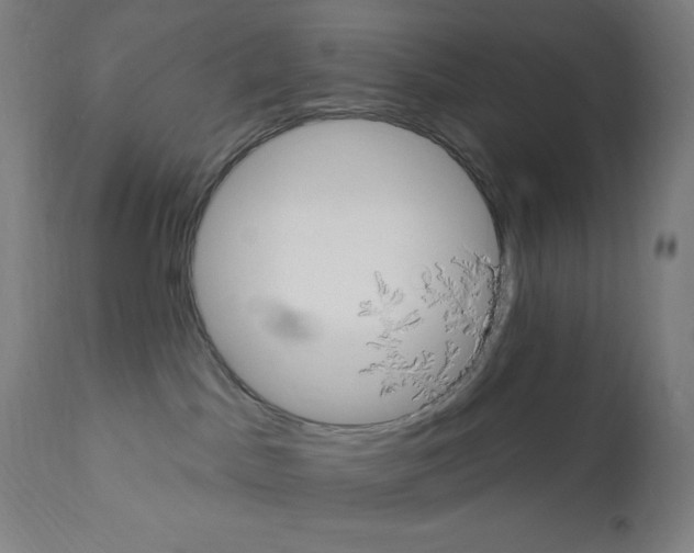 X0000112350045200909241112