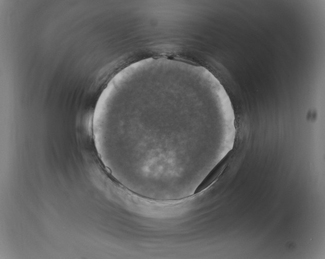 X0000112350047200909241112