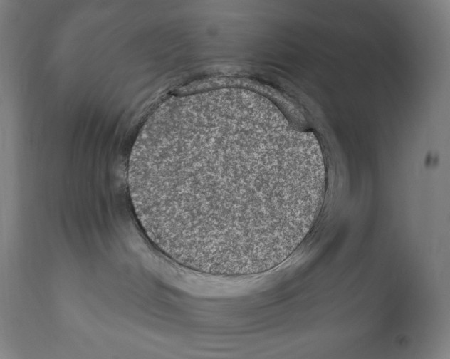 X0000112350048200909241112