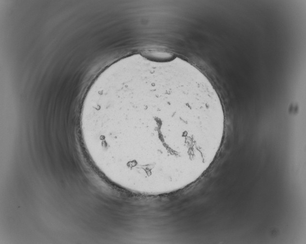 X0000112350049200909241111