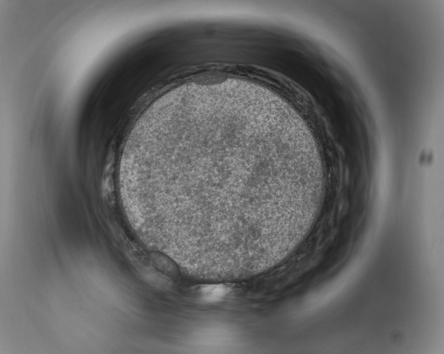 X0000112350050200909241111