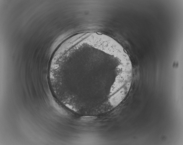 X0000112350051200909241111