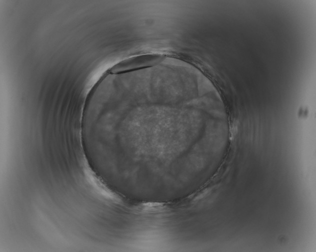 X0000112350052200909241111