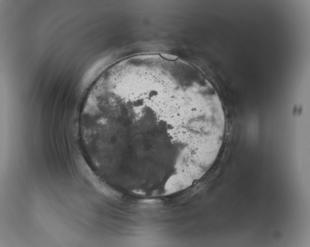 X0000112350053200909241111